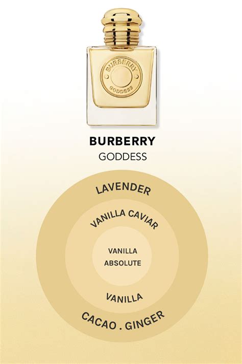 what does the burberry perfume smell like|Burberry her vs goddess.